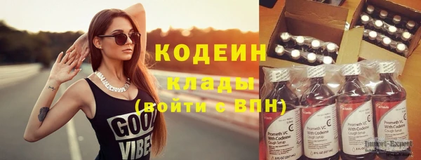 бошки Няндома