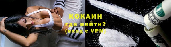 бошки Няндома