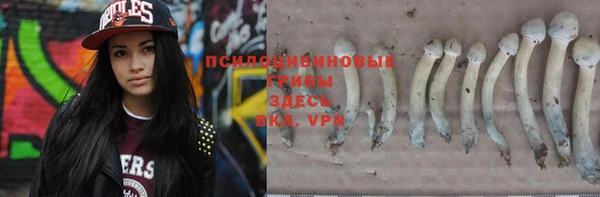 шишки Нягань