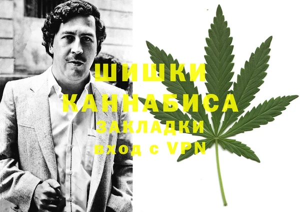 бошки Няндома