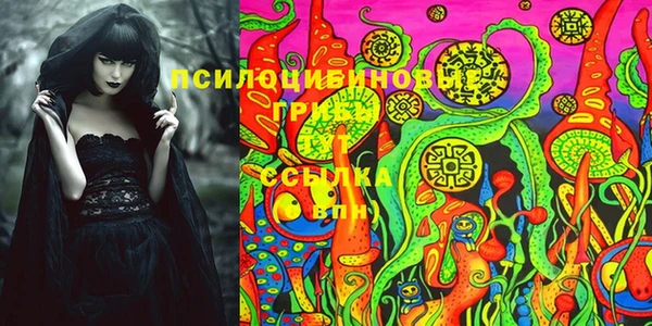 прущие крисы Нязепетровск