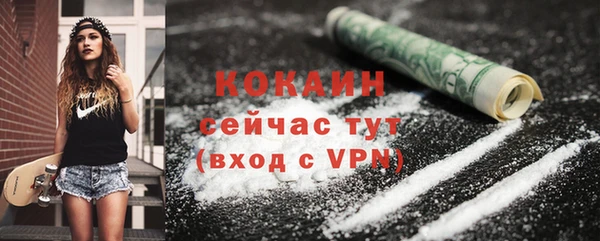 бошки Няндома