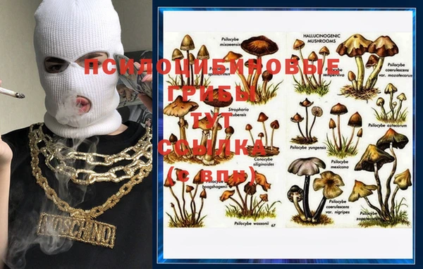 бошки Няндома