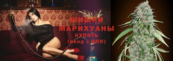 шишки Нягань