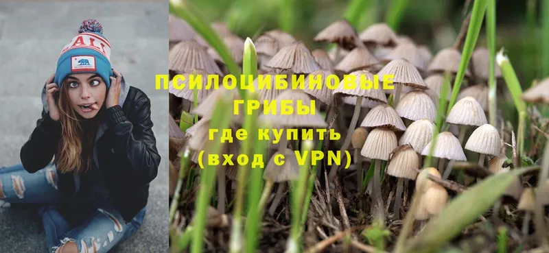 Галлюциногенные грибы Psilocybe  Уяр 